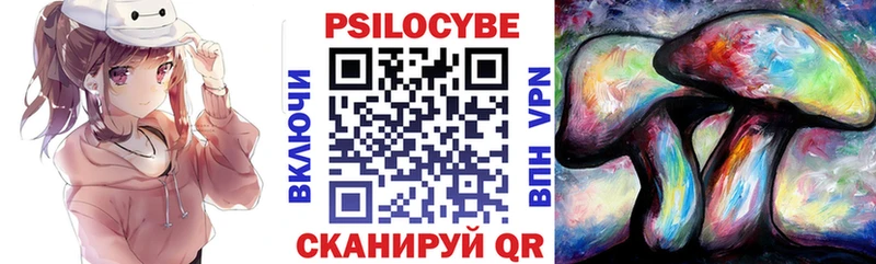 кракен онион  Миньяр  Галлюциногенные грибы Cubensis 