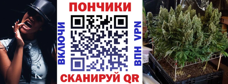 цены   Миньяр  Канабис конопля 